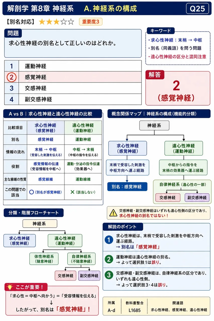 求心性神経の別名として正しいのはどれか。 解説図