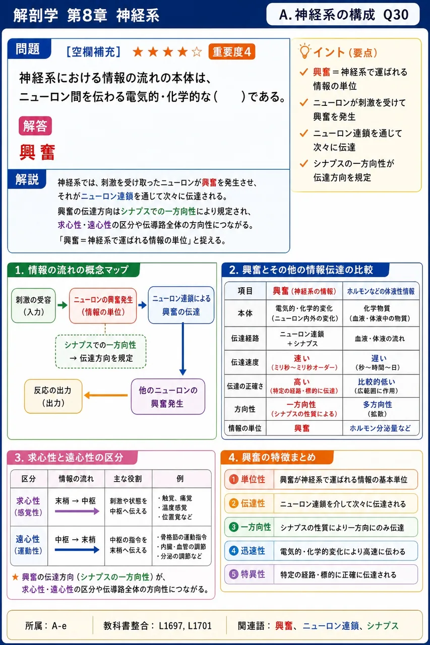 神経系における情報の流れの本体は、ニューロン間を伝わる電気的・化学的な( )である。 解説図
