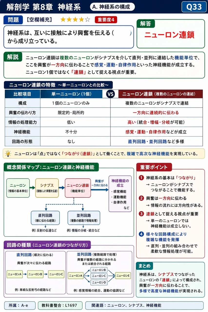 神経系は、互いに接触により興奮を伝える( )から成り立っている。 解説図