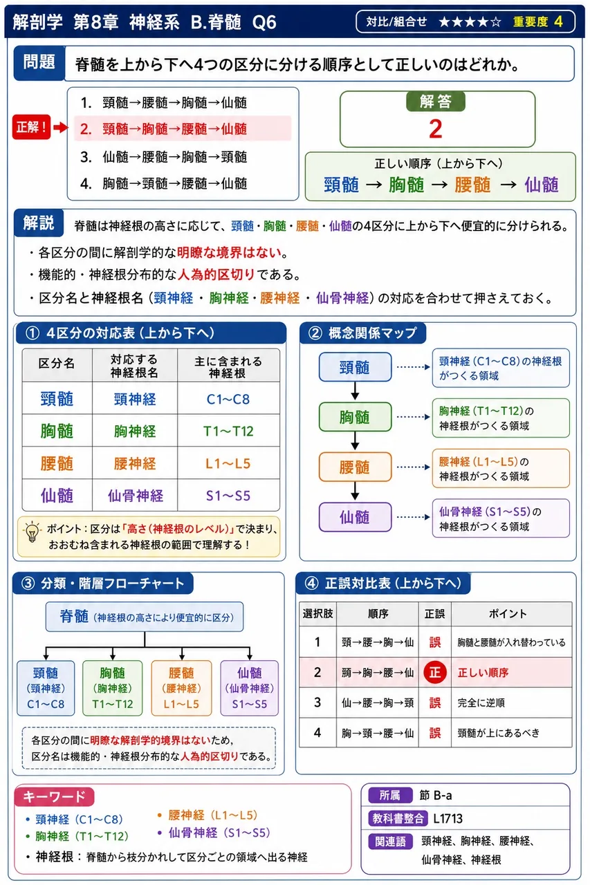 脊髄を上から下へ4つの区分に分ける順序として正しいのはどれか。 解説図