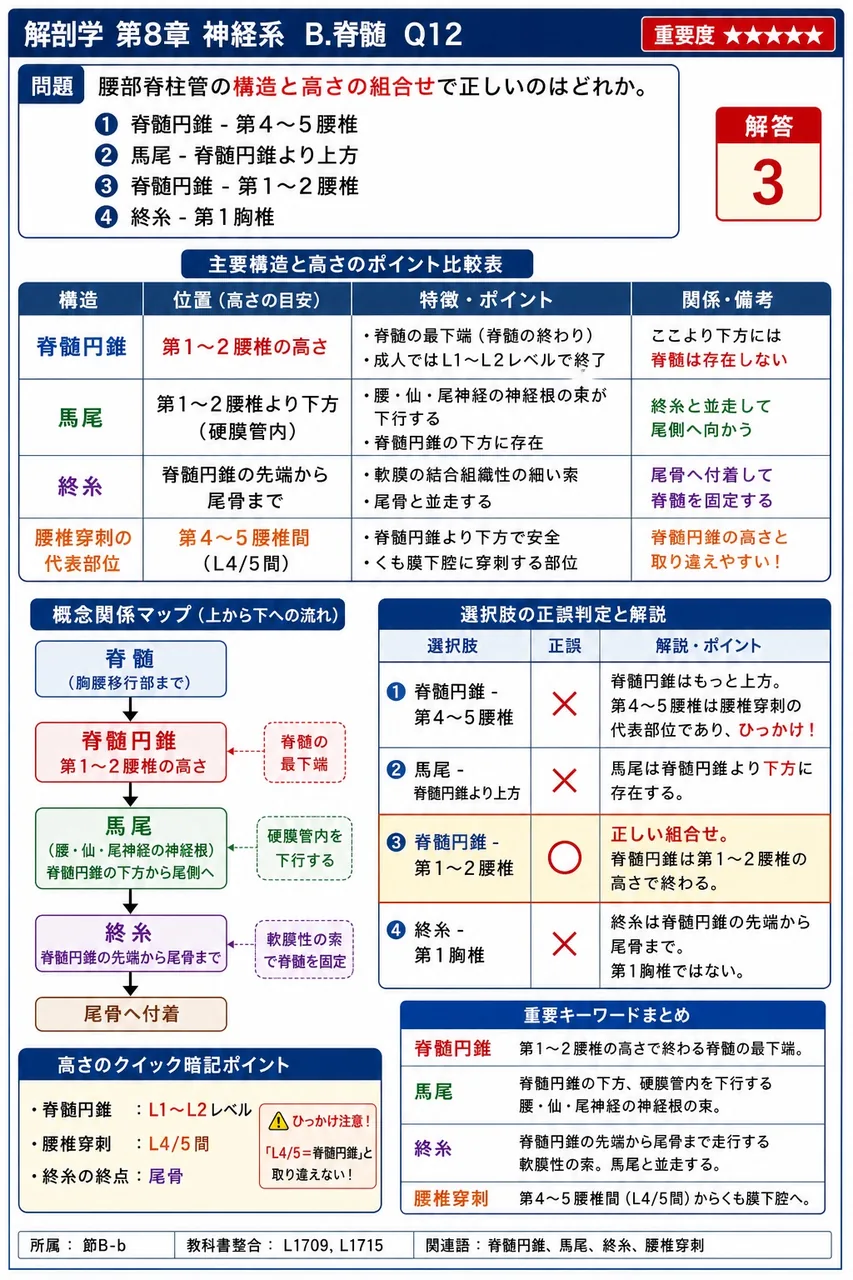 腰部脊柱管の構造と高さの組合せで正しいのはどれか。 解説図