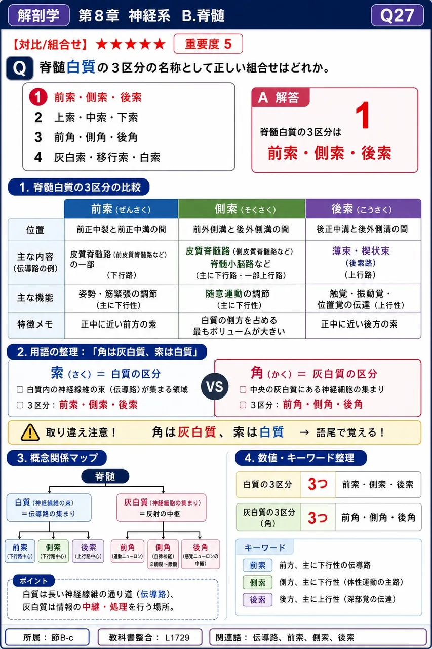 脊髄白質の3区分の名称として正しい組合せはどれか。 解説図