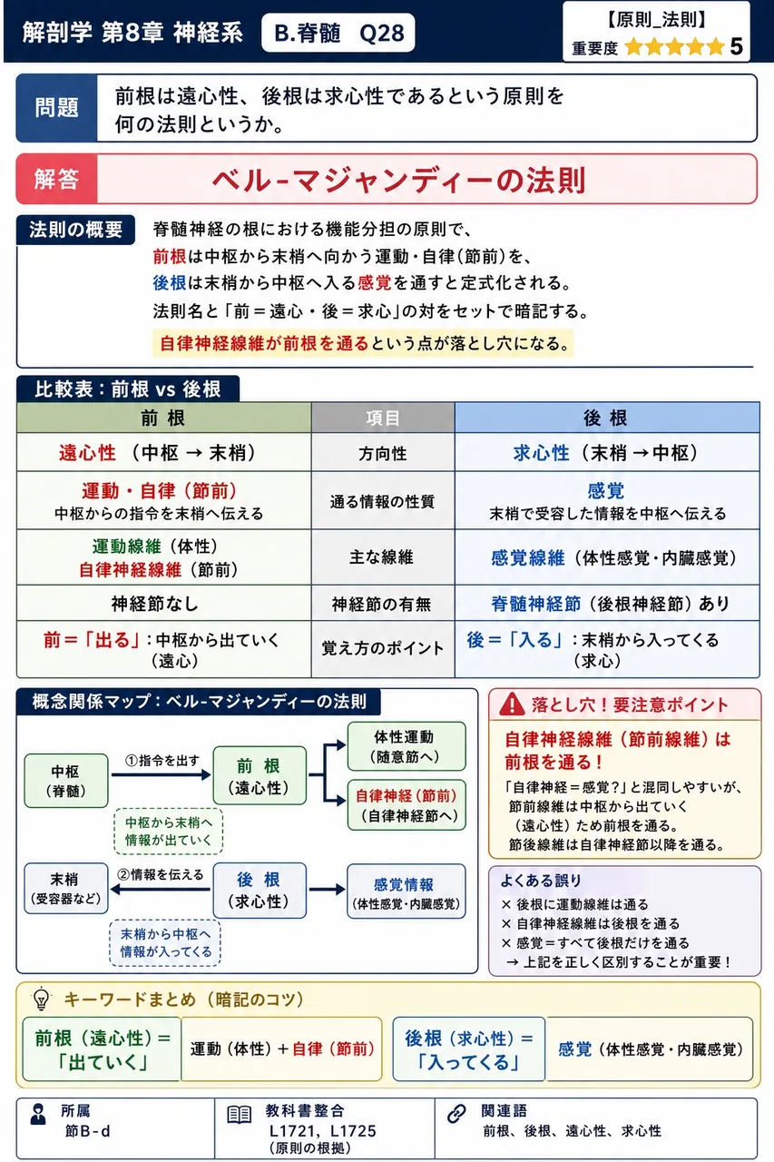 前根は遠心性、後根は求心性であるという原則を何の法則というか。 解説図