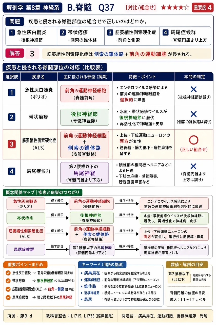 疾患と侵される脊髄部位の組合せで正しいのはどれか。 解説図