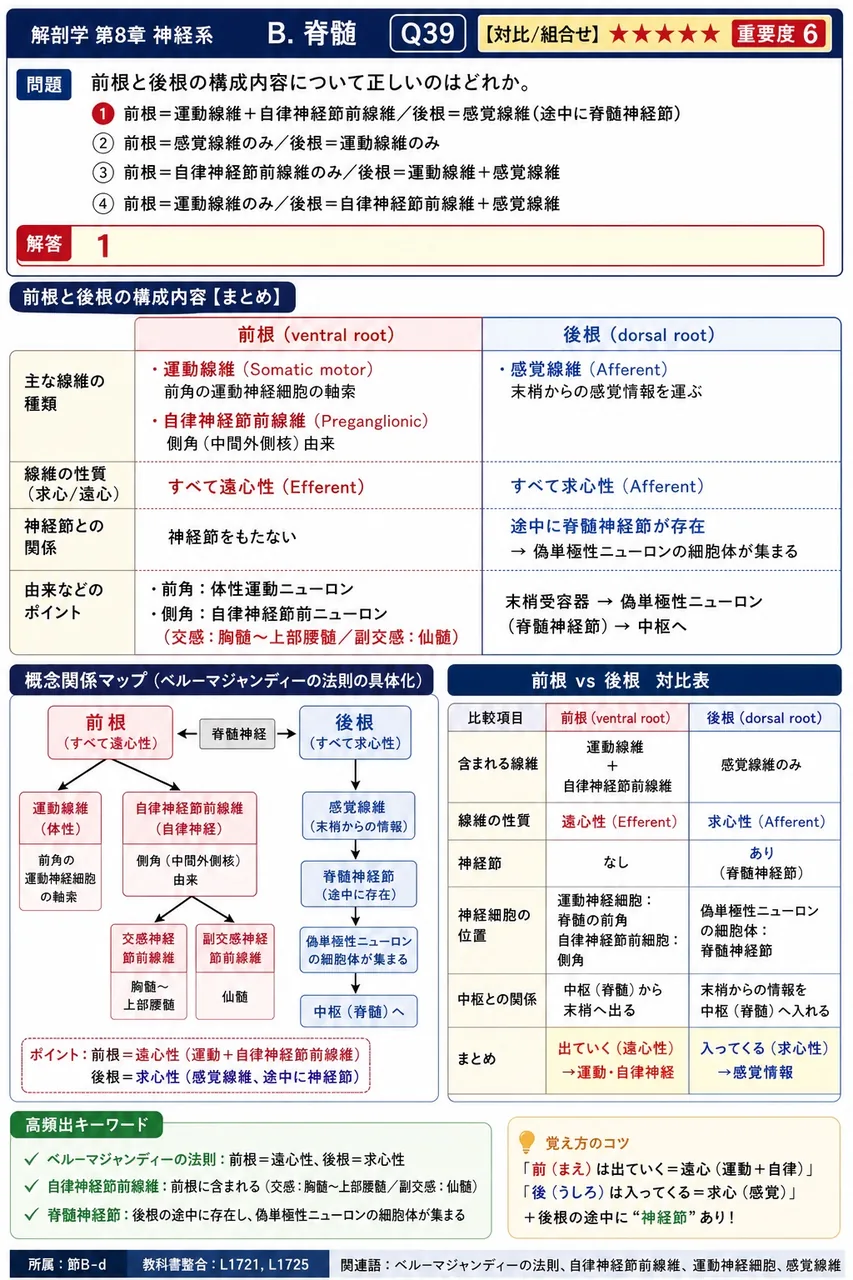 前根と後根の構成内容について正しいのはどれか。 解説図