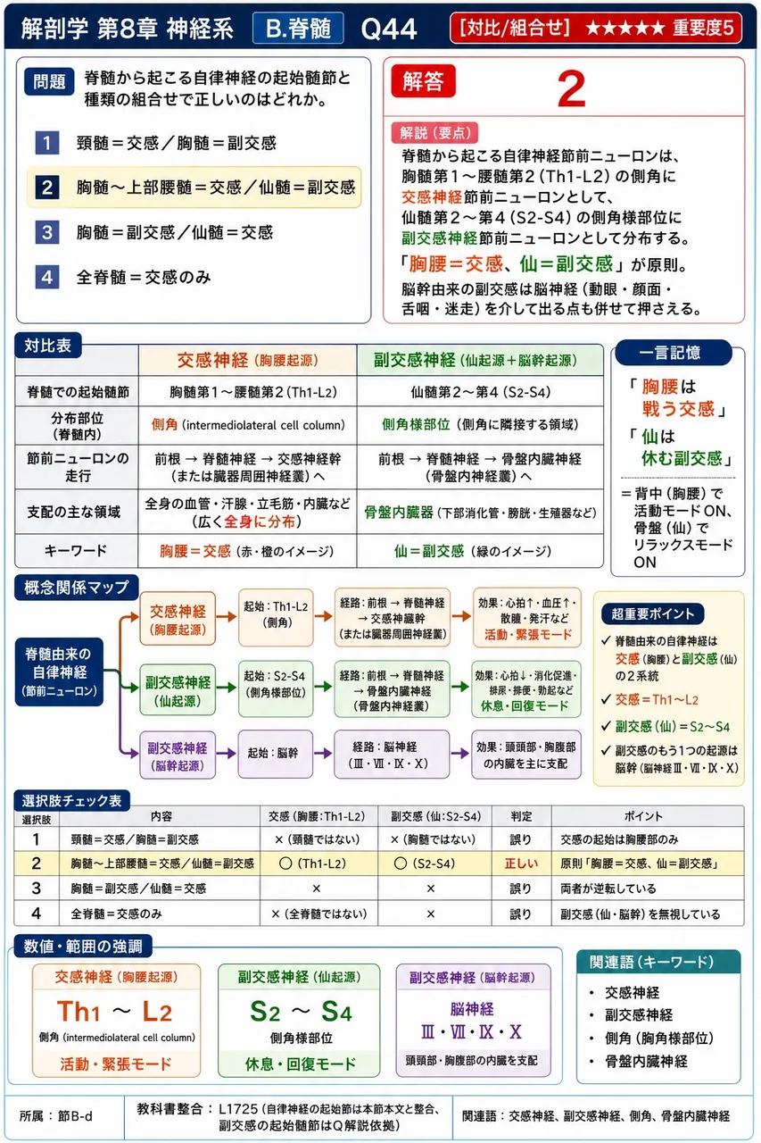 脊髄から起こる自律神経の起始髄節と種類の組合せで正しいのはどれか。 解説図