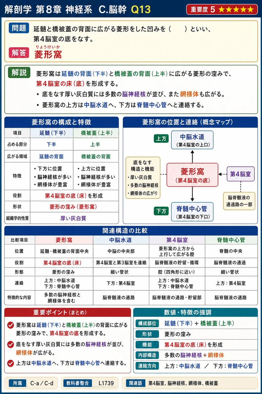 延髄と橋被蓋の背面に広がる菱形をした凹みを( )といい、第4脳室の底をなす。 解説図