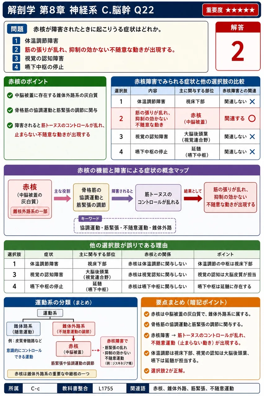 赤核が障害されたときに起こりうる症状はどれか。 解説図