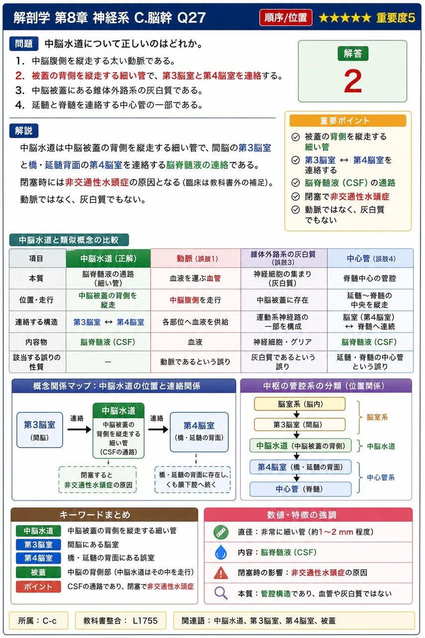 中脳水道について正しいのはどれか。 解説図