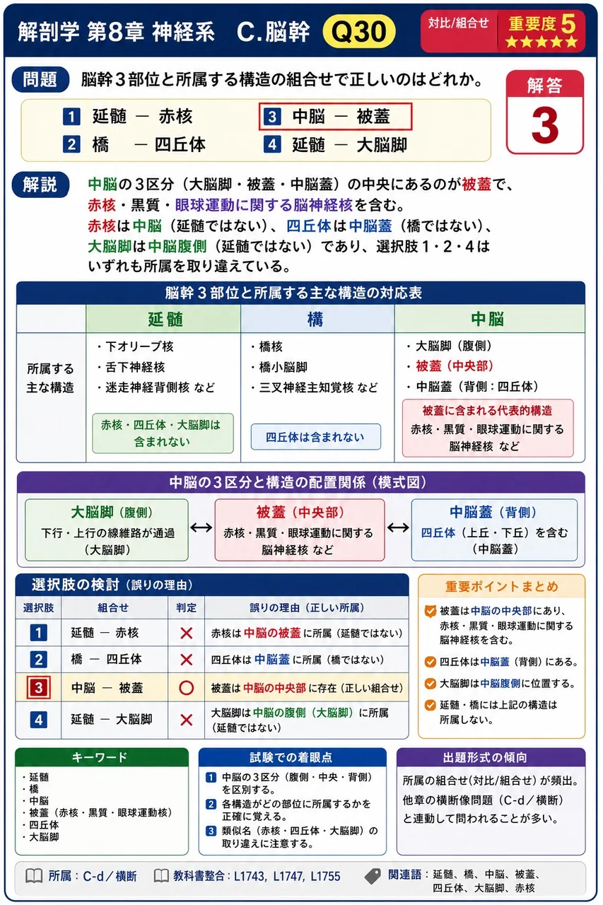 脳幹3部位と所属する構造の組合せで正しいのはどれか。 解説図