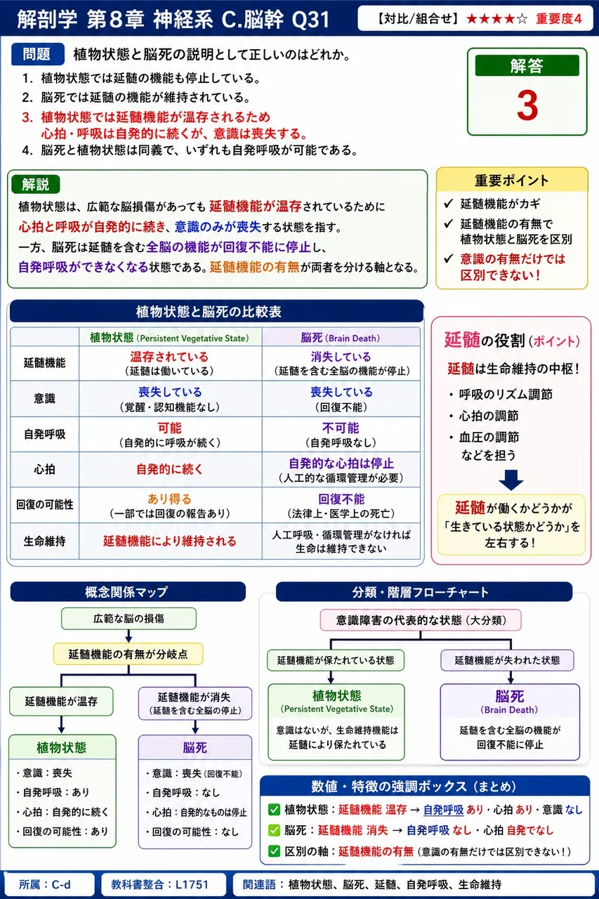 植物状態と脳死の説明として正しいのはどれか。 解説図