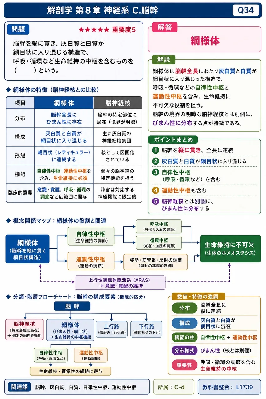 脳幹を縦に貫き、灰白質と白質が網目状に入り混じる構造で、呼吸・循環など生命維持の中枢を含むものを( )という。 解説図