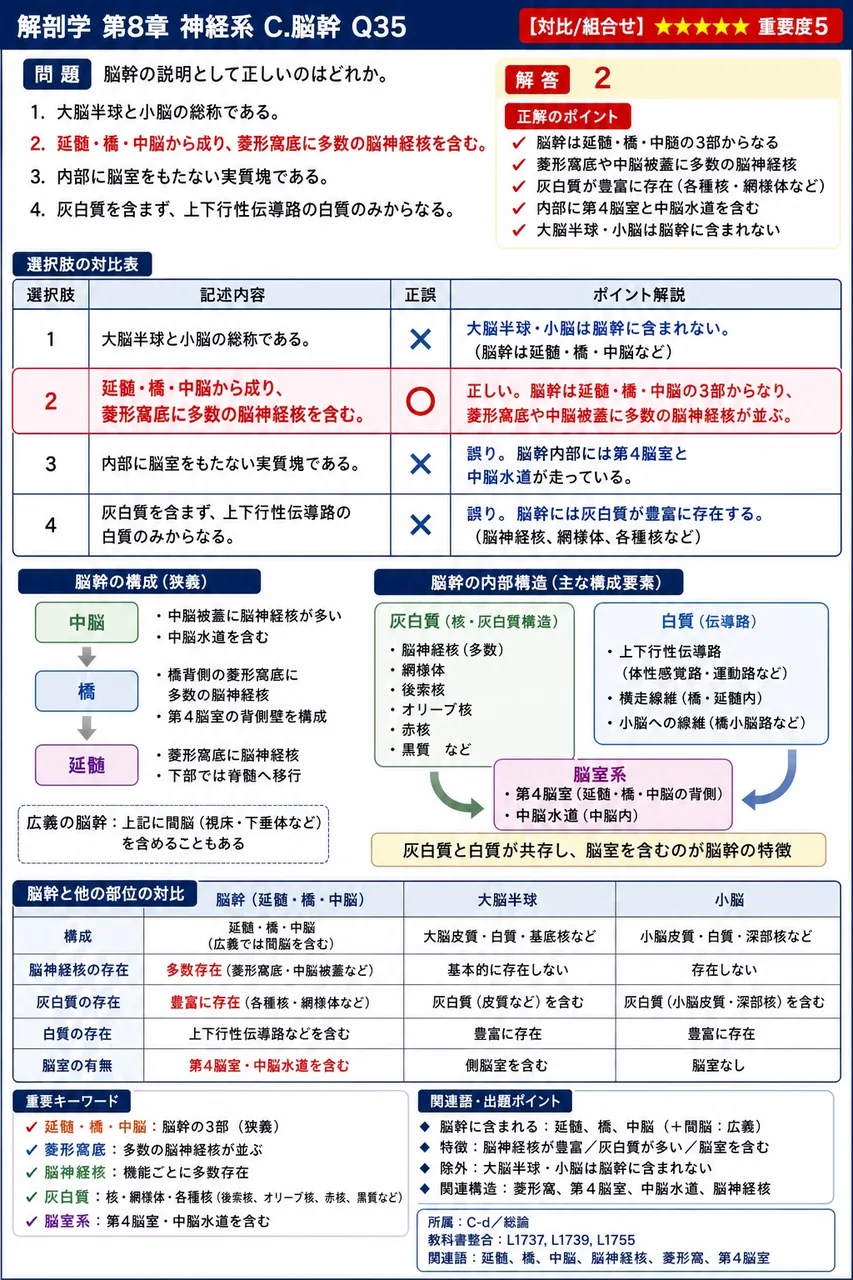 脳幹の説明として正しいのはどれか。 解説図