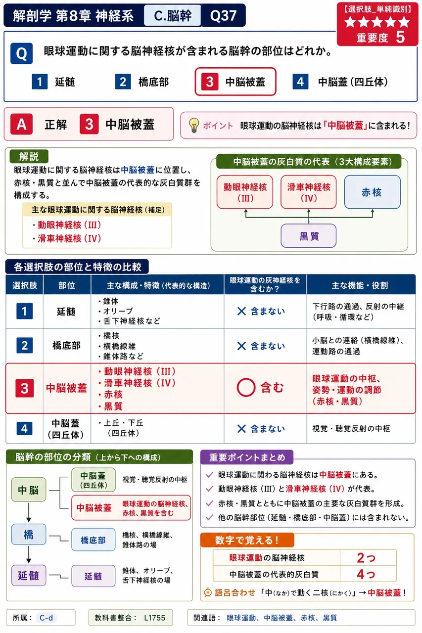 眼球運動に関する脳神経核が含まれる脳幹の部位はどれか。 解説図
