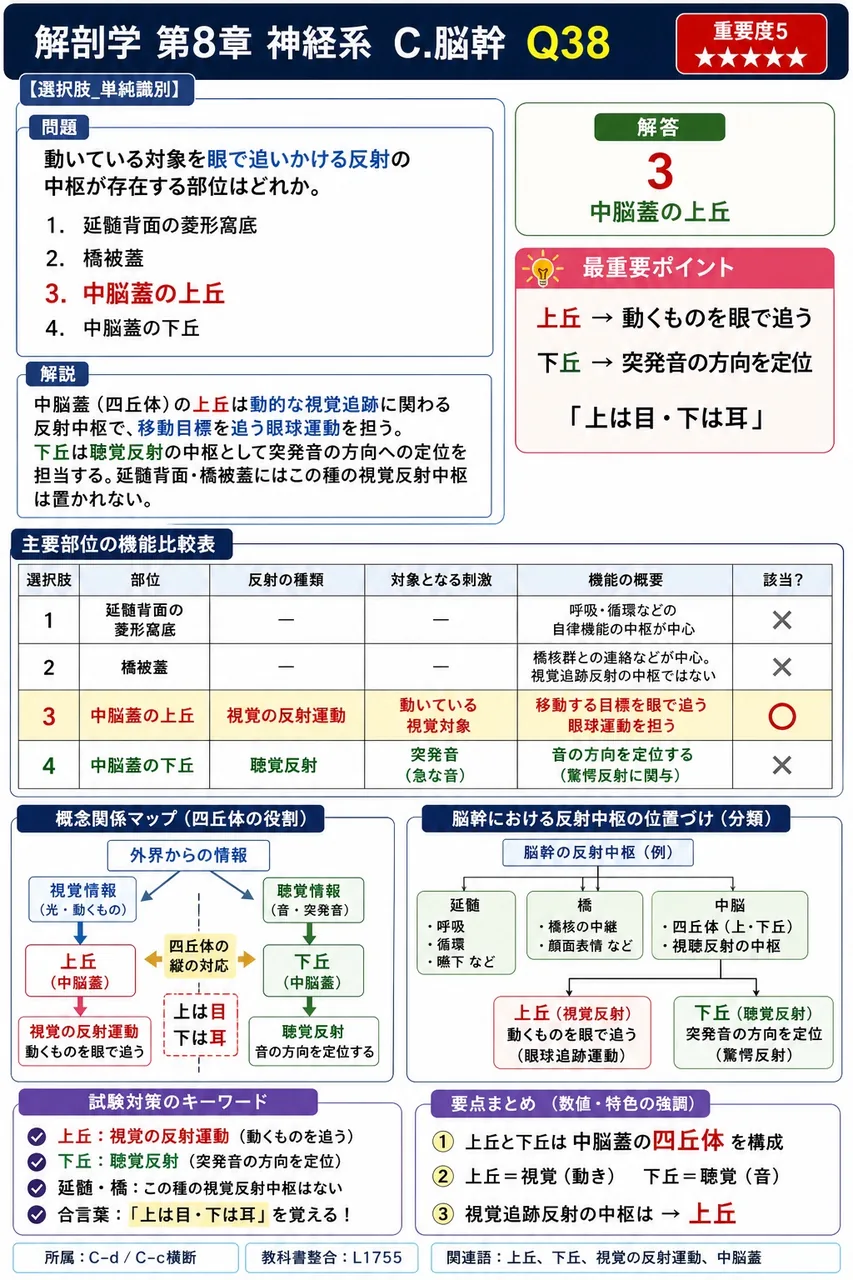 動いている対象を眼で追いかける反射の中枢が存在する部位はどれか。 解説図