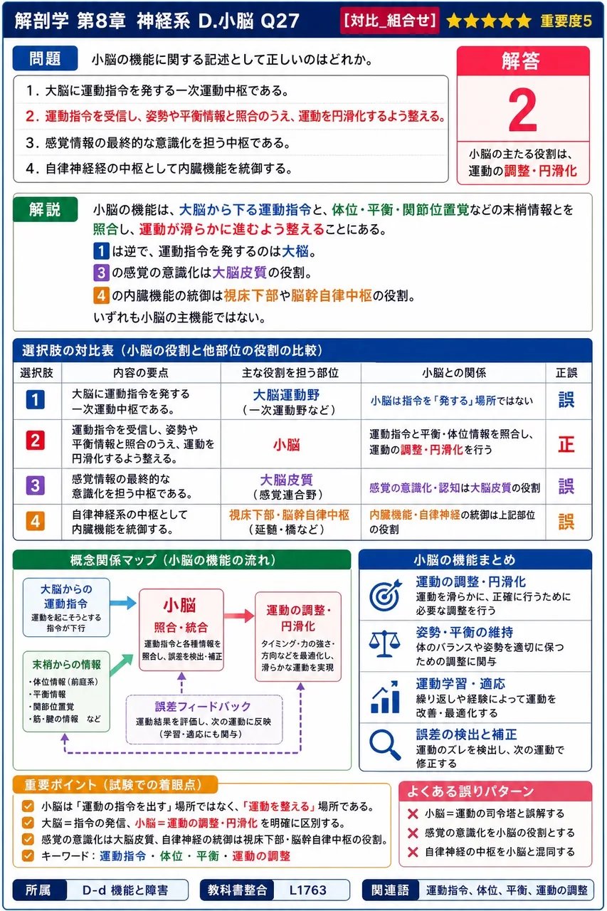 小脳の機能に関する記述として正しいのはどれか。 解説図