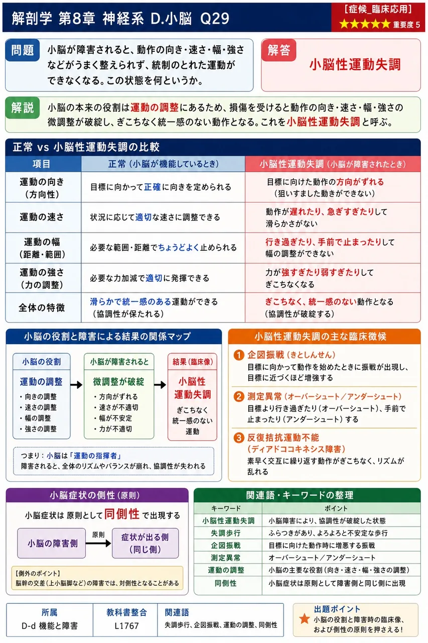 小脳が障害されると、動作の向き・速さ・幅・強さなどがうまく整えられず、統制のとれた運動ができなくなる。この状態を何というか。 解説図