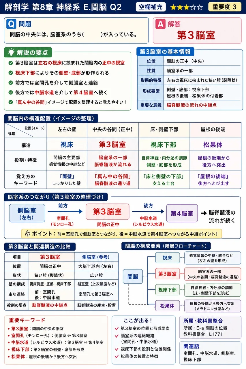 間脳の中央には、脳室系のうち( )が入っている。 解説図
