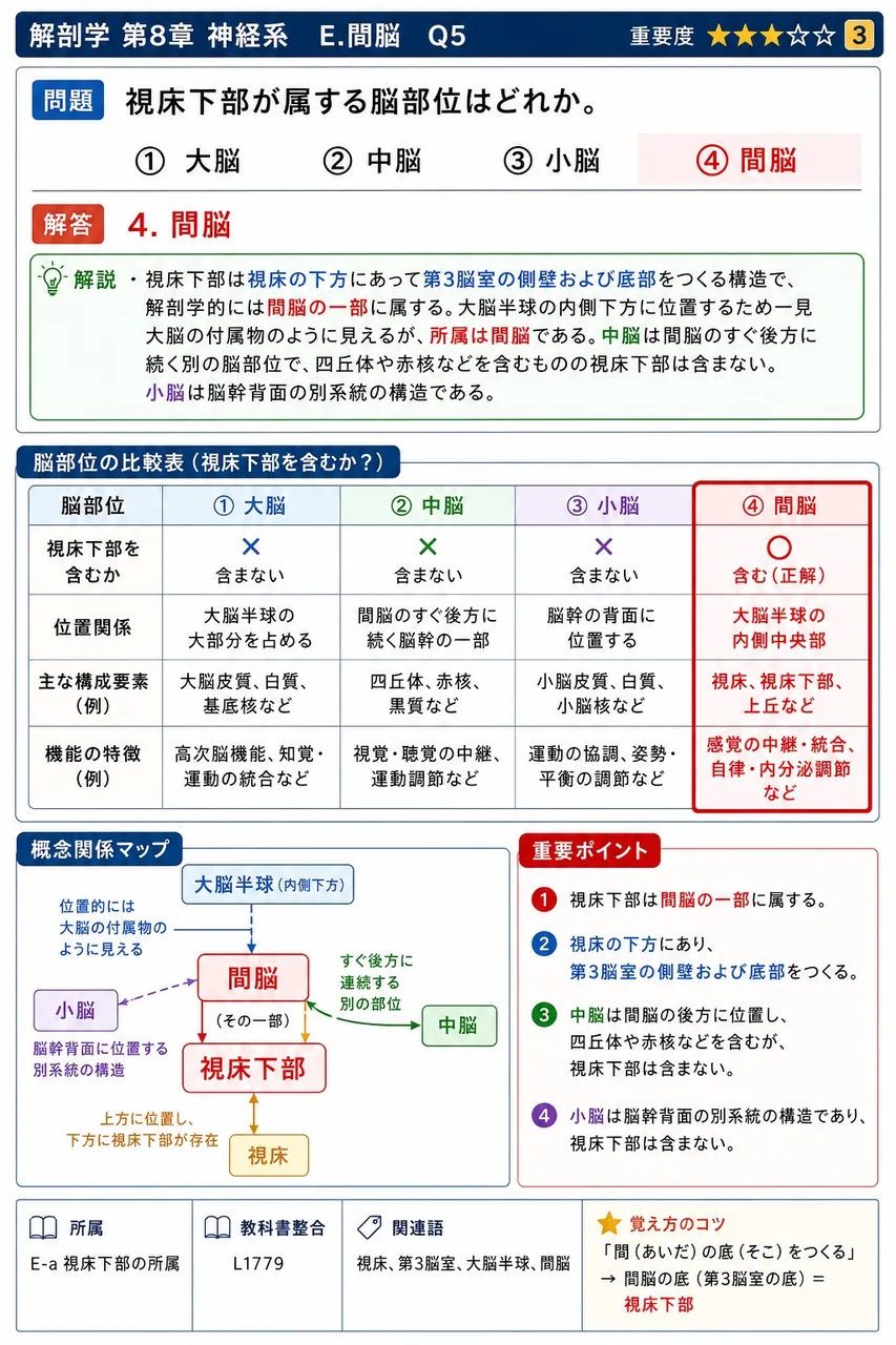 視床下部が属する脳部位はどれか。 解説図