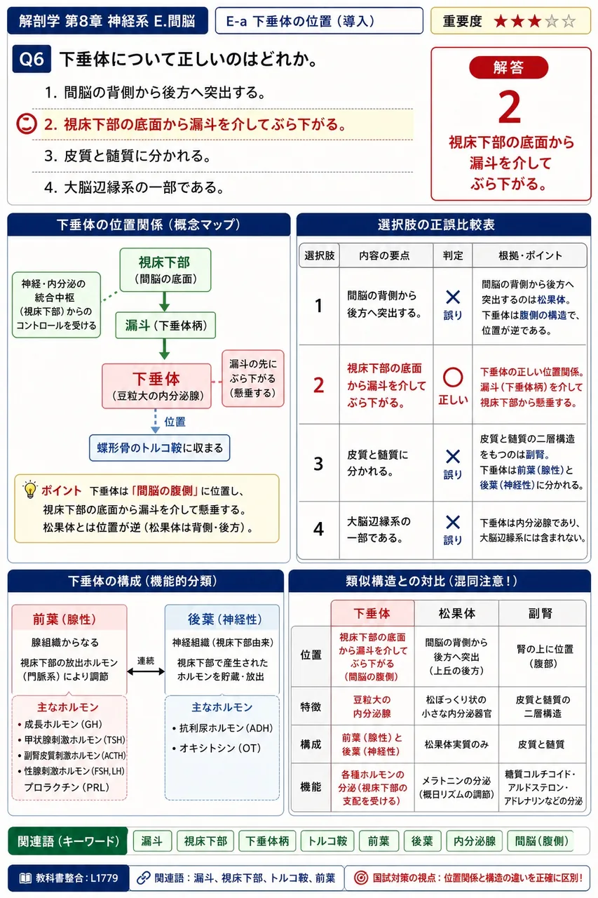 下垂体について正しいのはどれか。 解説図