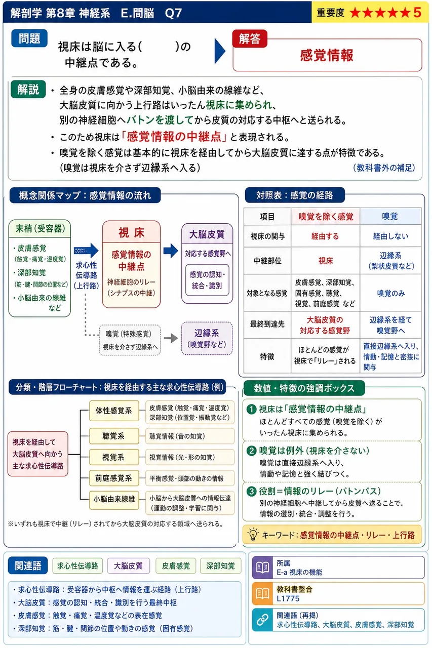 視床は脳に入る( )の中継点である。 解説図