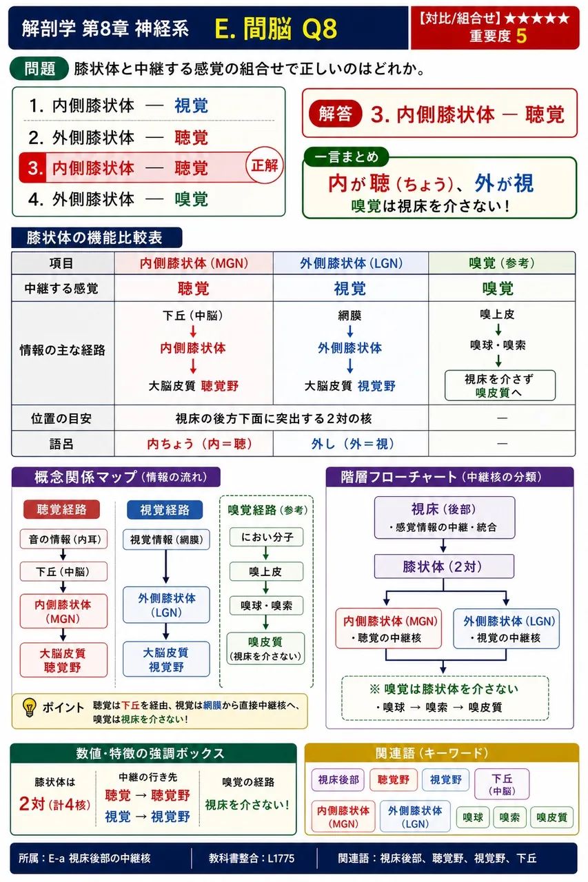 膝状体と中継する感覚の組合せで正しいのはどれか。 解説図