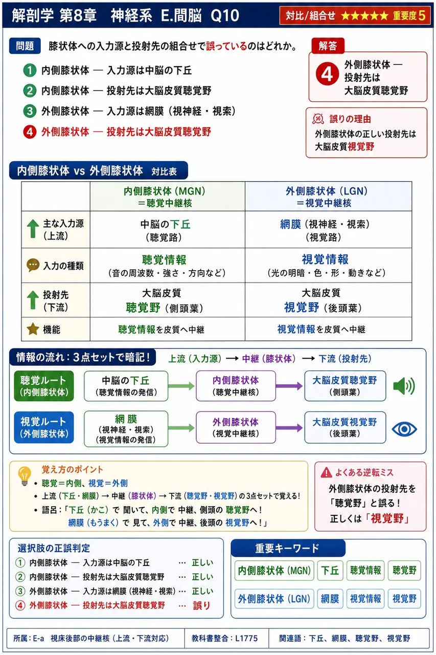 膝状体への入力源と投射先の組合せで誤っているのはどれか。 解説図