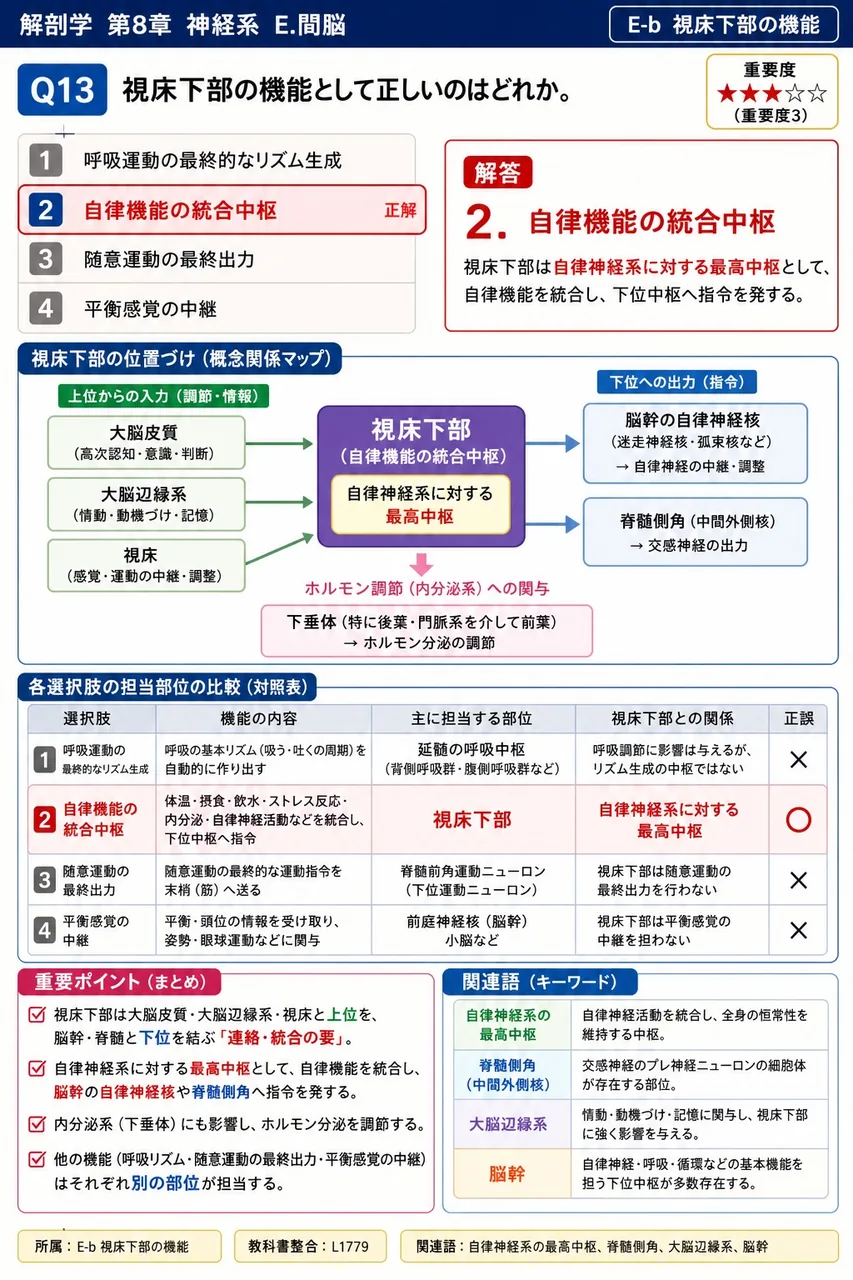 視床下部の機能として正しいのはどれか。 解説図