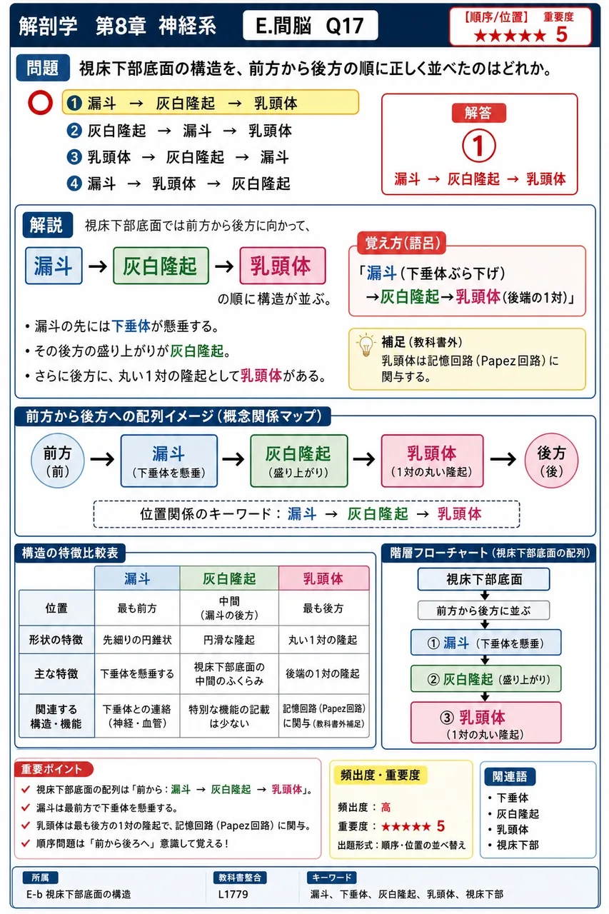 視床下部底面の構造を、前方から後方の順に正しく並べたのはどれか。 解説図
