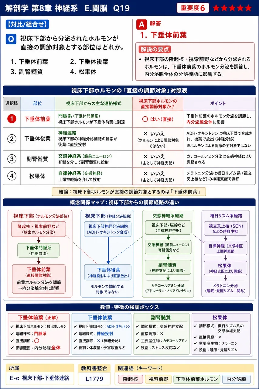 視床下部から分泌されたホルモンが直接の調節対象とする部位はどれか。 解説図