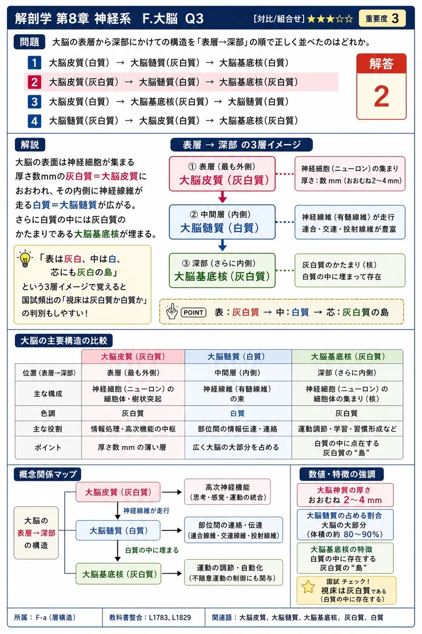 大脳の表層から深部にかけての構造を「表層→深部」の順で正しく並べたのはどれか。 解説図