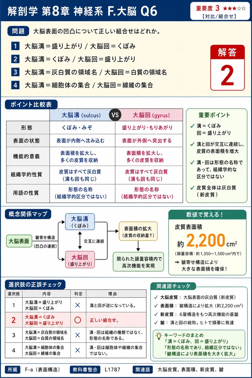 大脳表面の凹凸について正しい組合せはどれか。 解説図