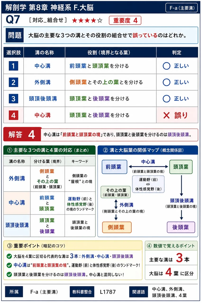 大脳の主要な3つの溝とその役割の組合せで誤っているのはどれか。 解説図