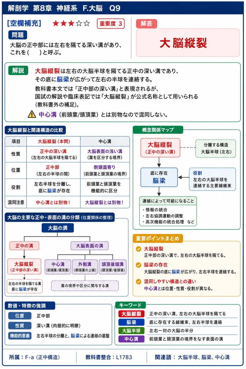 大脳の正中部には左右を隔てる深い溝があり、これを( )と呼ぶ。 解説図