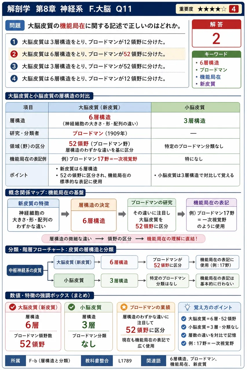 大脳皮質の機能局在に関する記述で正しいのはどれか。 解説図