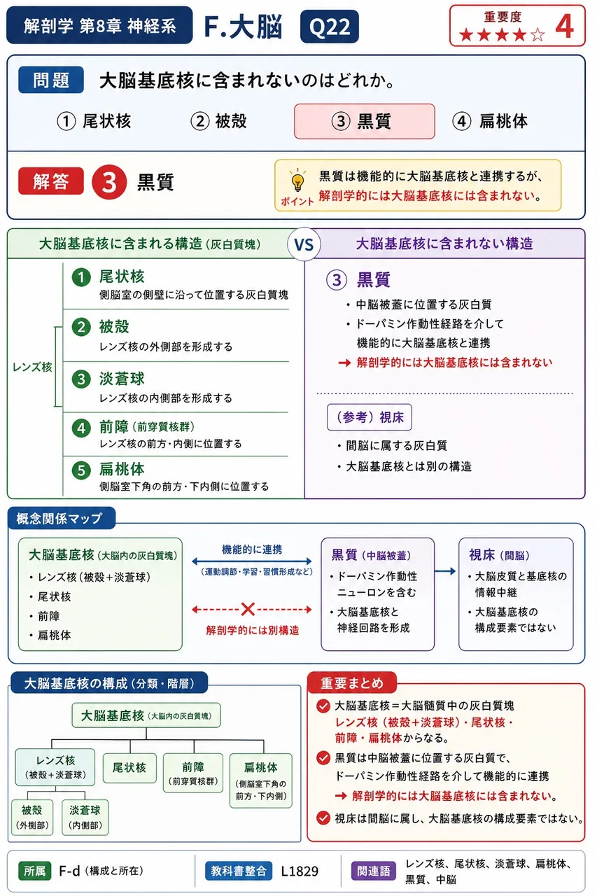 大脳基底核に含まれないのはどれか。 解説図