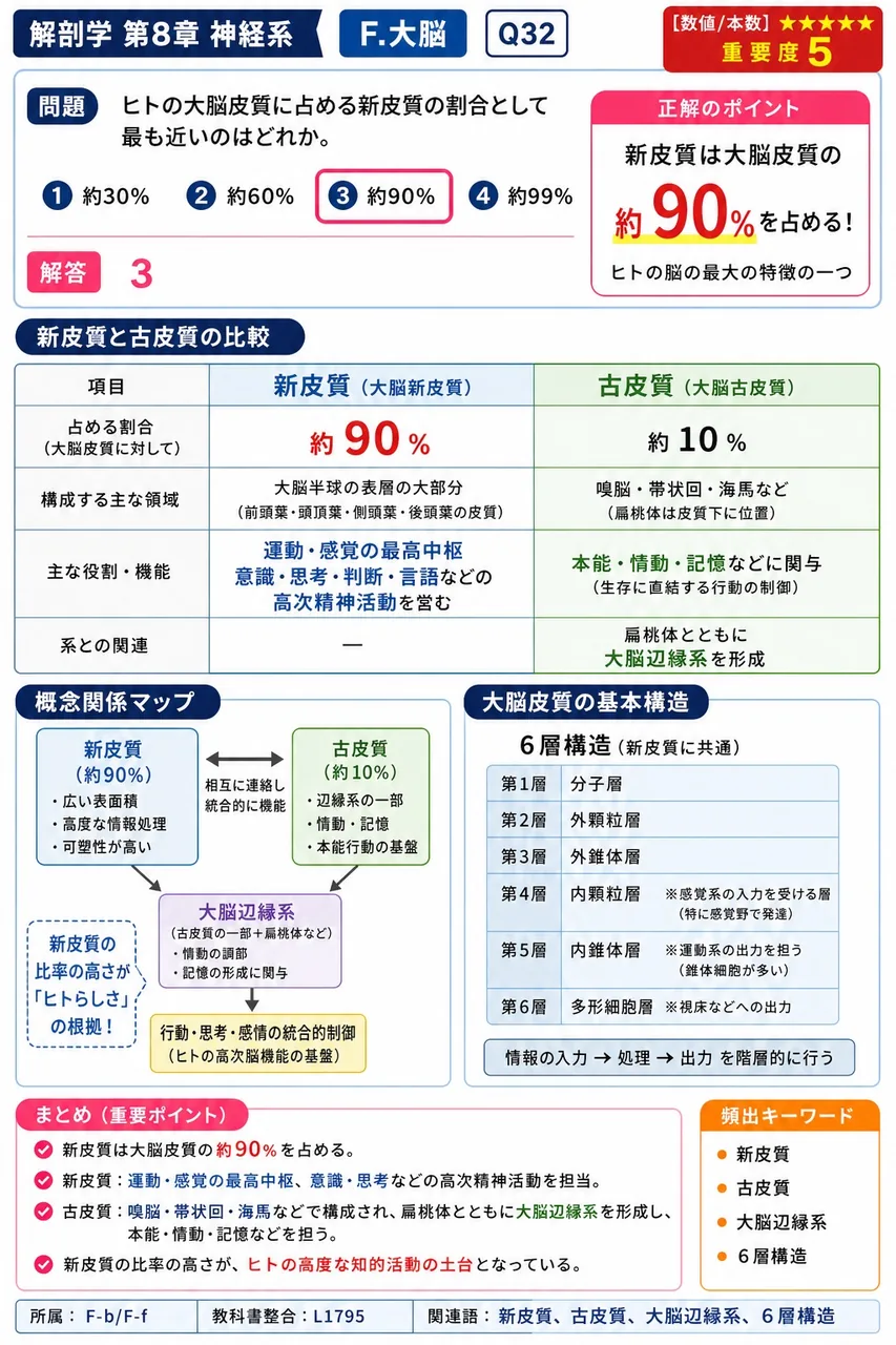 ヒトの大脳皮質に占める新皮質の割合として最も近いのはどれか。 解説図