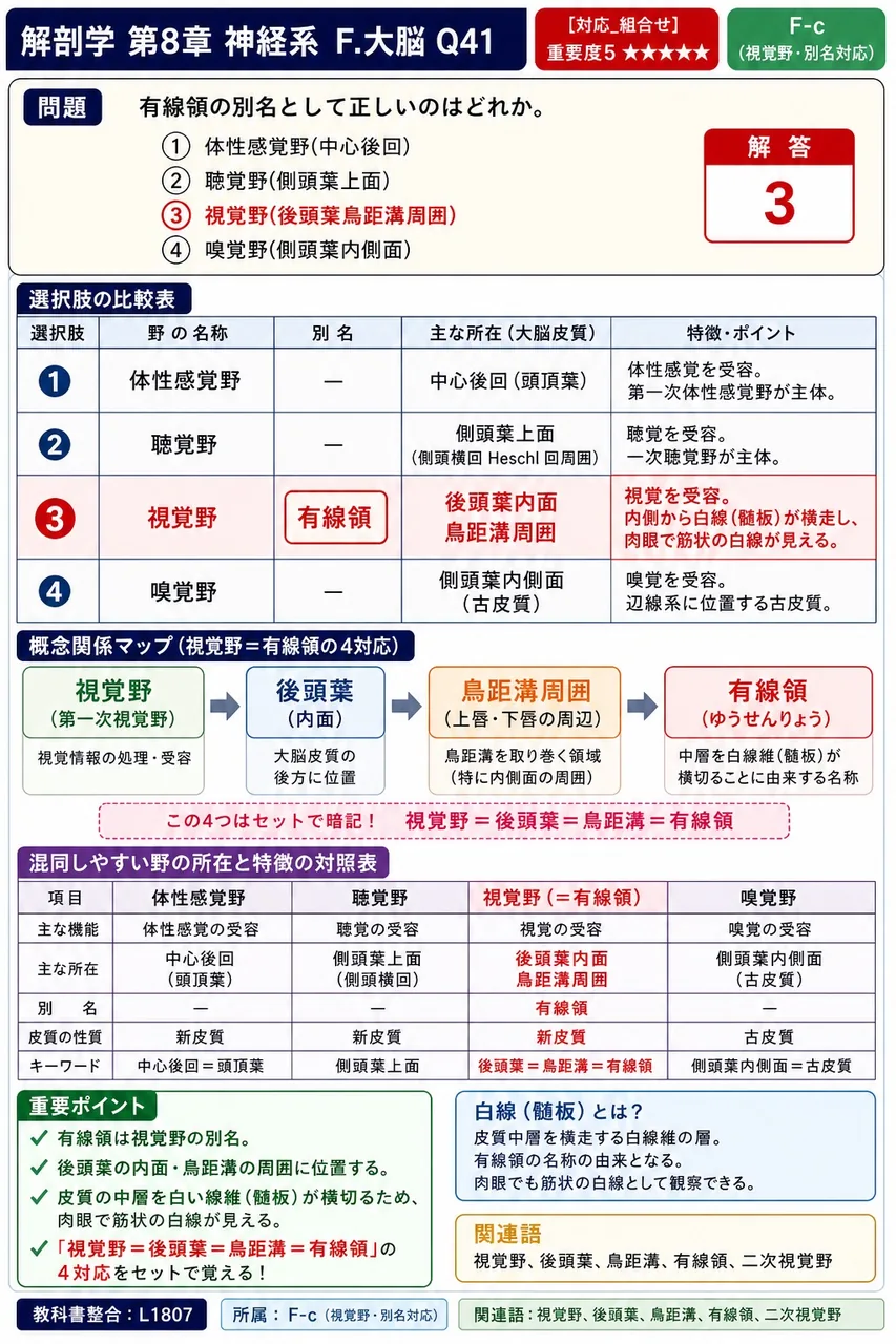 有線領の別名として正しいのはどれか。 解説図
