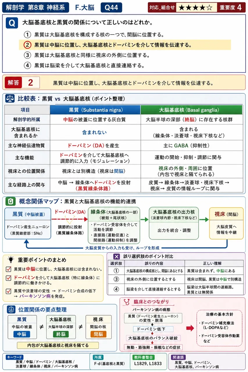 大脳基底核と黒質の関係について正しいのはどれか。 解説図
