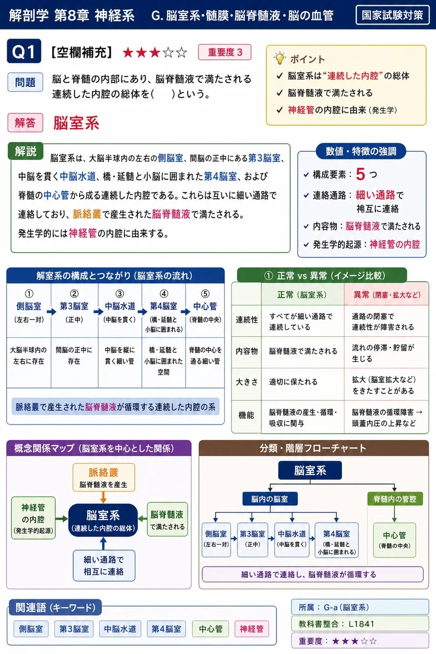 脳と脊髄の内部にあり、脳脊髄液で満たされる連続した内腔の総体を( )という。 解説図