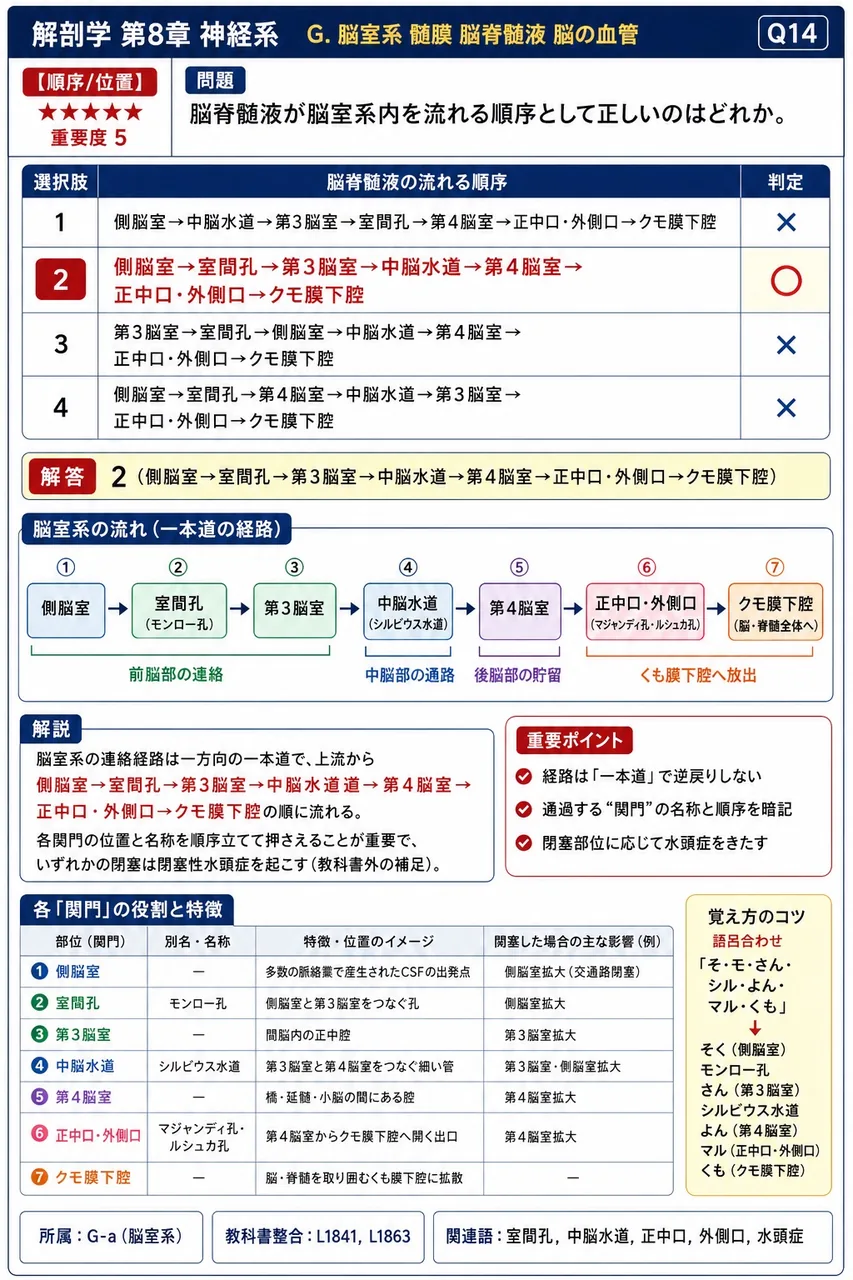 脳脊髄液が脳室系内を流れる順序として正しいのはどれか。 解説図