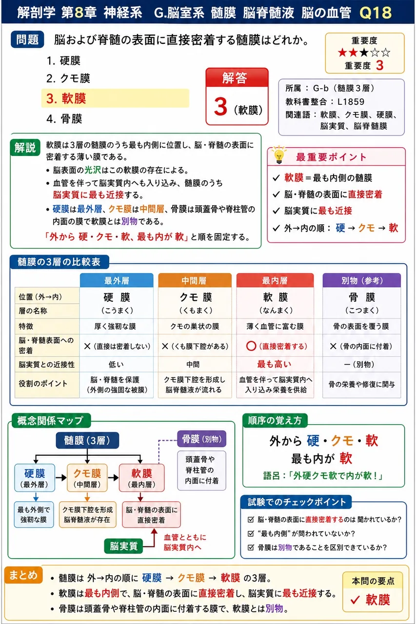 脳および脊髄の表面に直接密着する髄膜はどれか。 解説図