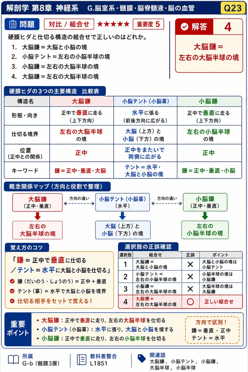 硬膜ヒダと仕切る構造の組合せで正しいのはどれか。 解説図