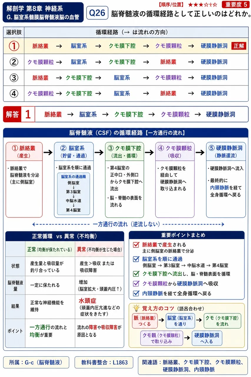 脳脊髄液の循環経路として正しいのはどれか。 解説図