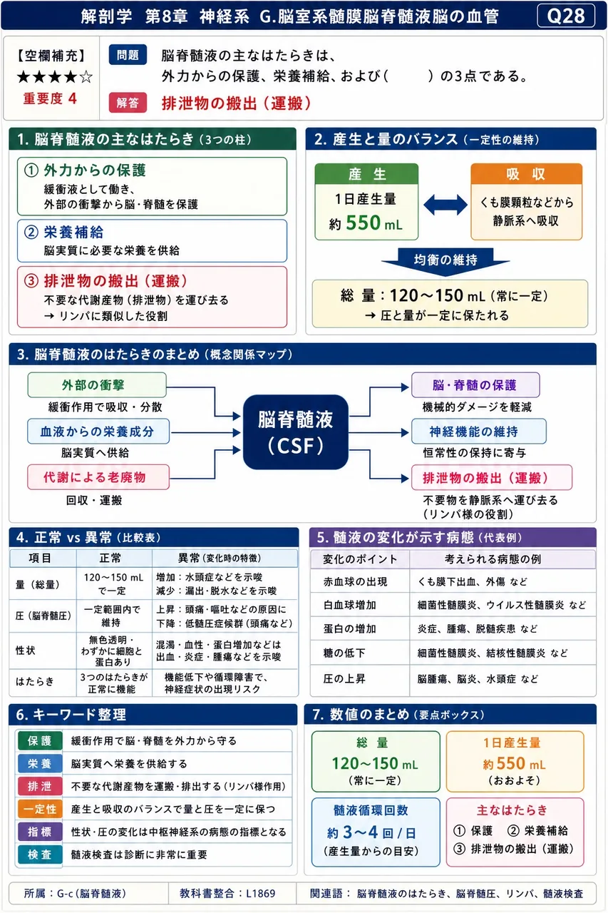 脳脊髄液の主なはたらきは、外力からの保護、栄養補給、および( )の3点である。 解説図