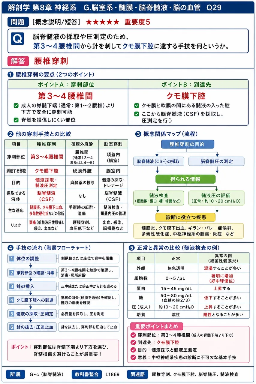 脳脊髄液の採取や圧測定のため、第3〜4腰椎間から針を刺してクモ膜下腔に達する手技を何というか。 解説図