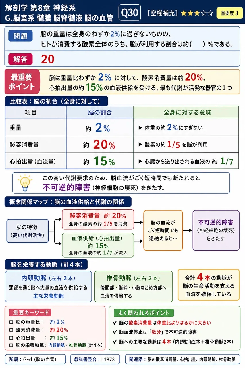 脳の重量は全身のわずか2%に過ぎないものの、ヒトが消費する酸素全体のうち、脳が利用する割合は約( )%である。 解説図