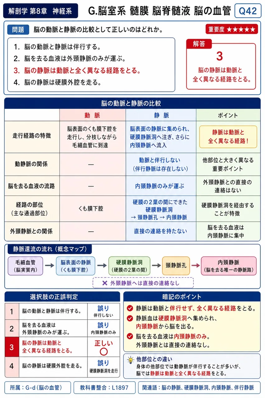 脳の動脈と静脈の比較として正しいのはどれか。 解説図