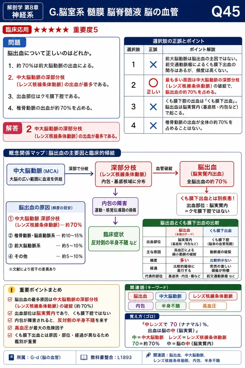 脳出血について正しいのはどれか。 解説図