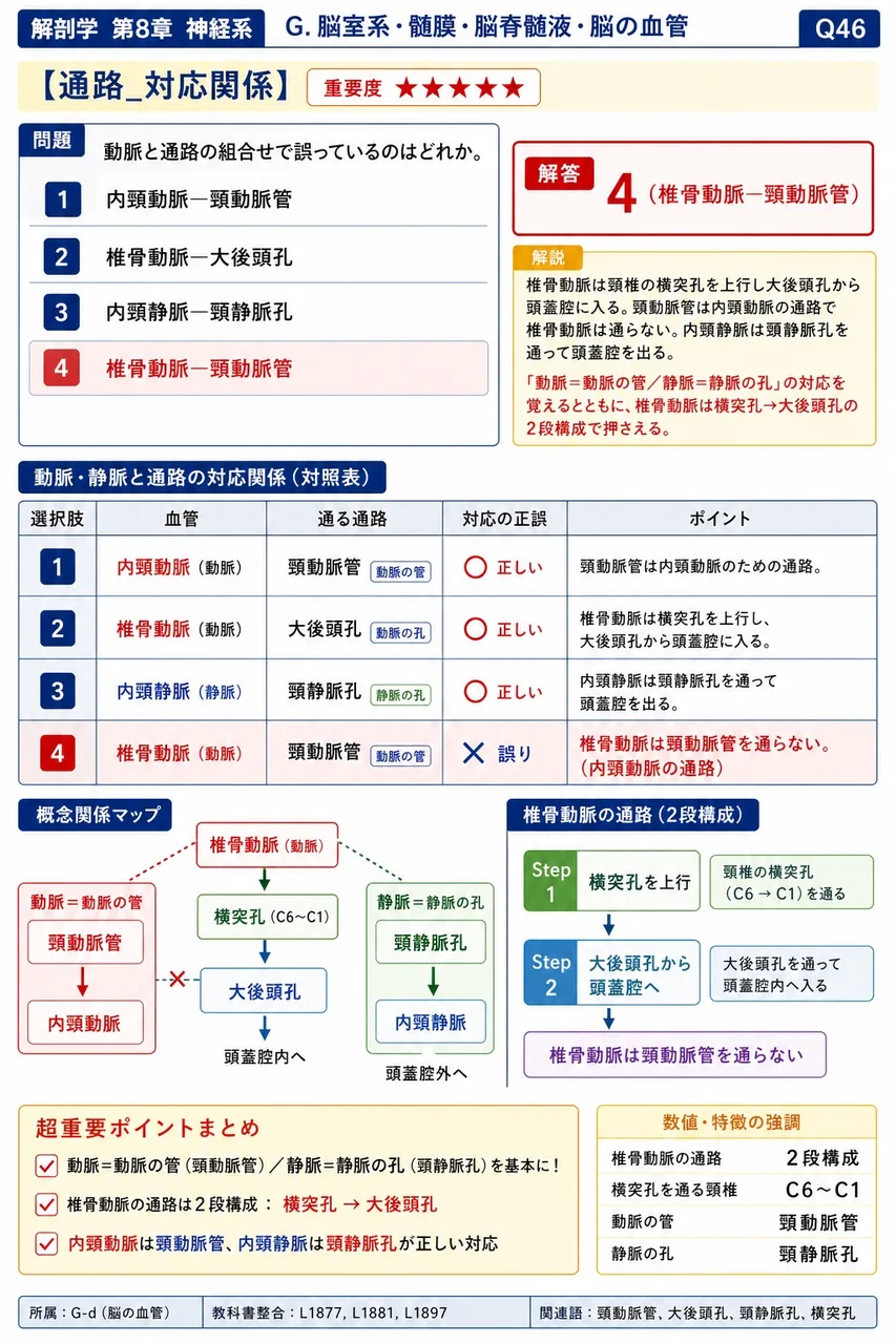 動脈と通路の組合せで誤っているのはどれか。 解説図